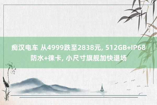 痴汉电车 从4999跌至2838元, 512GB+IP68防水+徕卡, 小尺寸旗舰加快退场