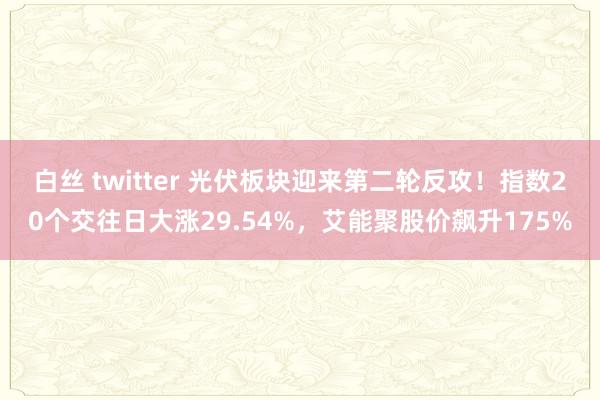 白丝 twitter 光伏板块迎来第二轮反攻！指数20个交往日大涨29.54%，艾能聚股价飙升175%