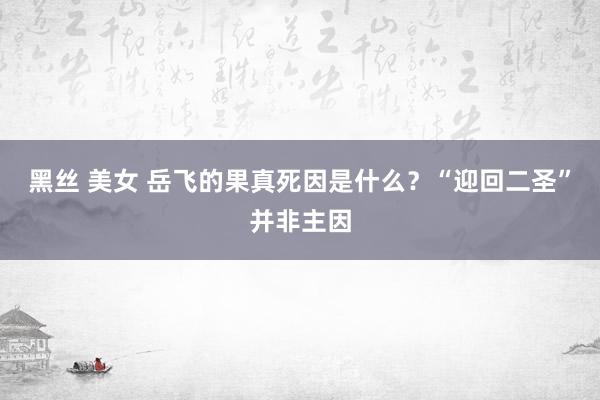 黑丝 美女 岳飞的果真死因是什么？“迎回二圣”并非主因