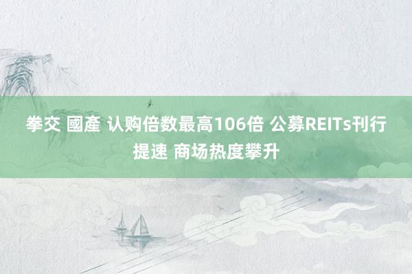 拳交 國產 认购倍数最高106倍 公募REITs刊行提速 商场热度攀升