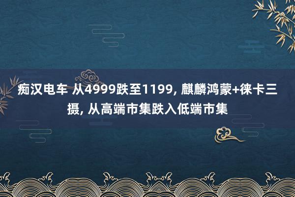 痴汉电车 从4999跌至1199, 麒麟鸿蒙+徕卡三摄, 从高端市集跌入低端市集