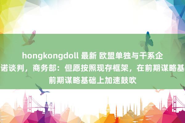 hongkongdoll 最新 欧盟单独与干系企业进行价钱承诺谈判，商务部：但愿按照现存框架，在前期谋略基础上加速鼓吹