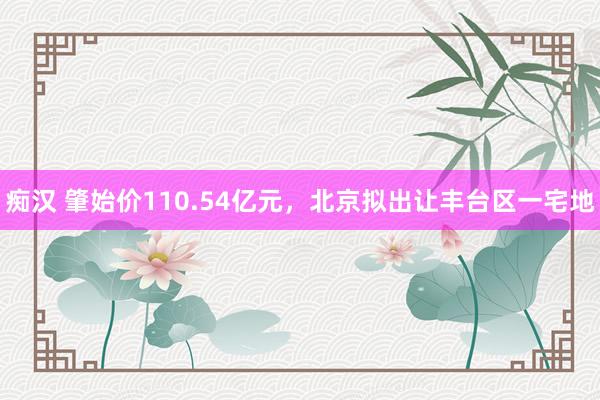 痴汉 肇始价110.54亿元，北京拟出让丰台区一宅地