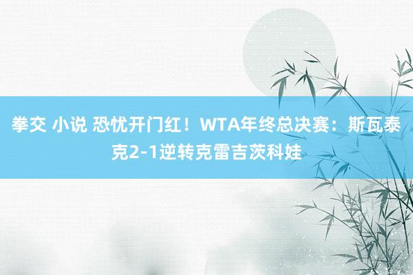 拳交 小说 恐忧开门红！WTA年终总决赛：斯瓦泰克2-1逆转克雷吉茨科娃