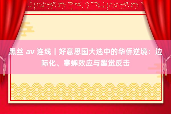 黑丝 av 连线｜好意思国大选中的华侨逆境：边际化、寒蝉效应与醒觉反击