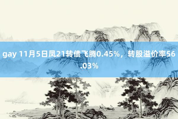 gay 11月5日凤21转债飞腾0.45%，转股溢价率56.03%