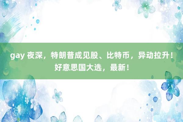 gay 夜深，特朗普成见股、比特币，异动拉升！好意思国大选，最新！