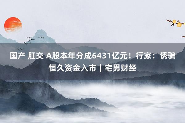 国产 肛交 A股本年分成6431亿元！行家：诱骗恒久资金入市｜宅男财经