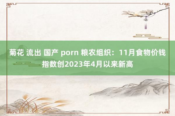 菊花 流出 国产 porn 粮农组织：11月食物价钱指数创2023年4月以来新高