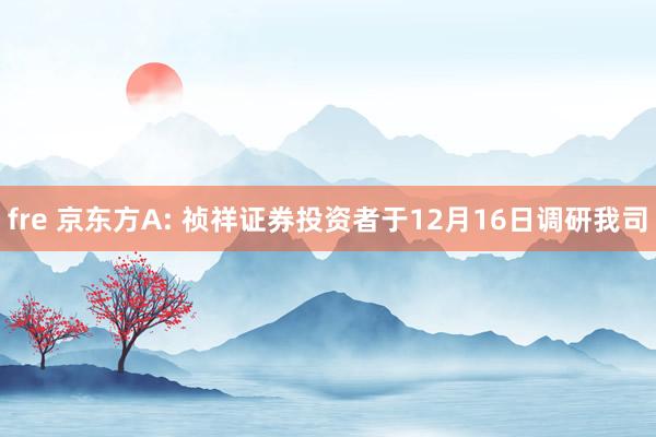 fre 京东方A: 祯祥证券投资者于12月16日调研我司