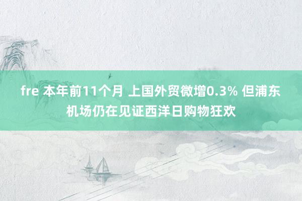 fre 本年前11个月 上国外贸微增0.3% 但浦东机场仍在见证西洋日购物狂欢