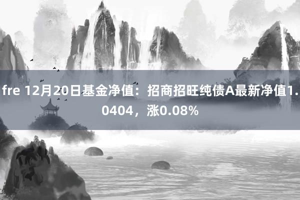 fre 12月20日基金净值：招商招旺纯债A最新净值1.0404，涨0.08%