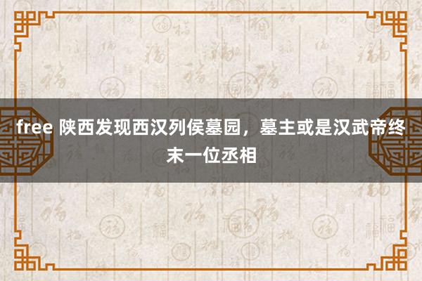 free 陕西发现西汉列侯墓园，墓主或是汉武帝终末一位丞相