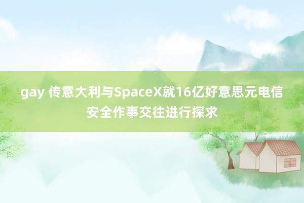 gay 传意大利与SpaceX就16亿好意思元电信安全作事交往进行探求