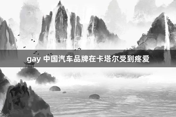 gay 中国汽车品牌在卡塔尔受到疼爱