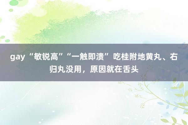 gay “敏锐高”“一触即溃” 吃桂附地黄丸、右归丸没用，原因就在舌头