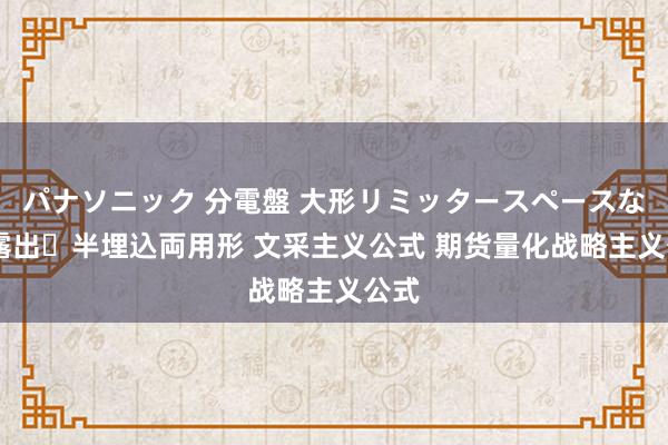 パナソニック 分電盤 大形リミッタースペースなし 露出・半埋込両用形 文采主义公式 期货量化战略主义公式