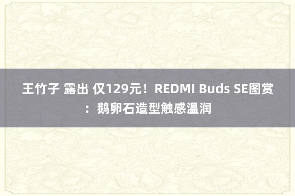 王竹子 露出 仅129元！REDMI Buds SE图赏：鹅卵石造型触感温润