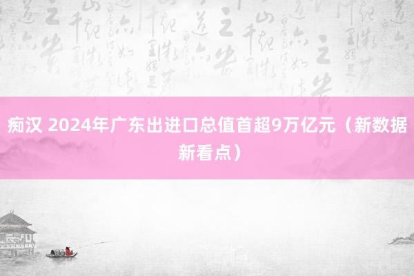 痴汉 2024年广东出进口总值首超9万亿元（新数据 新看点）