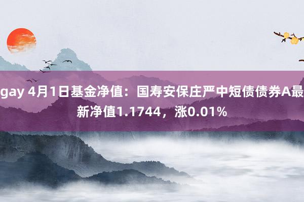 gay 4月1日基金净值：国寿安保庄严中短债债券A最新净值1.1744，涨0.01%